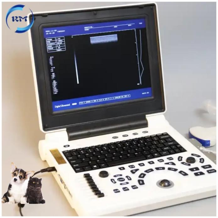 Vet ultrasound