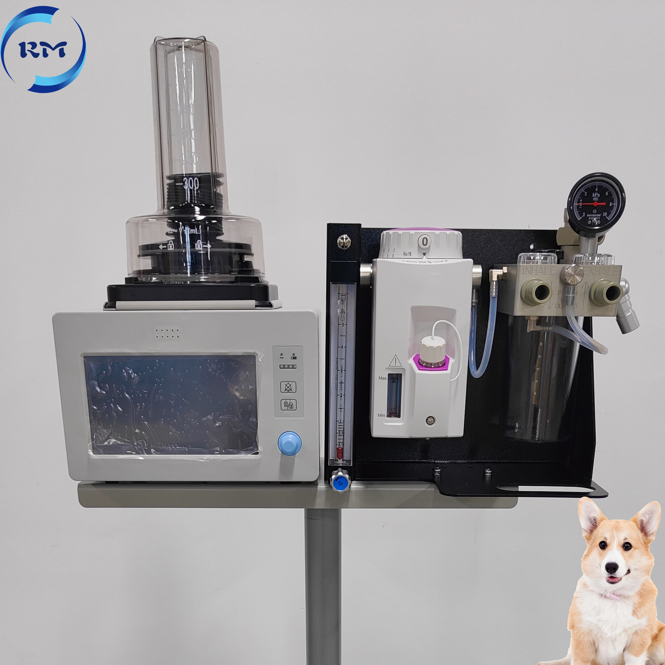 Vet Anesthesia & Ventilator